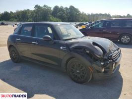 Austin Mini 2019 1