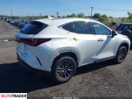 Lexus NX 2024 2