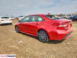 Toyota Corolla 2020 1