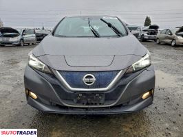 Nissan Leaf 2020