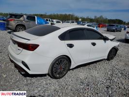 Kia Pozostałe 2024 1