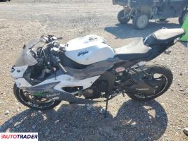 Kawasaki ZX 2021