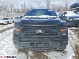 Ford Pozostałe 2024 3