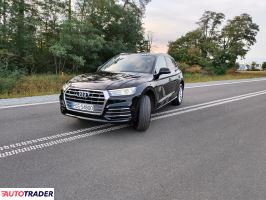 Audi Q5 2019 2.0 163 KM