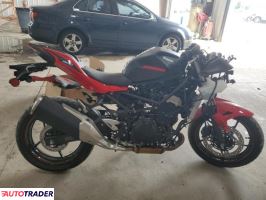 Kawasaki Pozostałe 2025 Kawasaki Pozostałe 2025