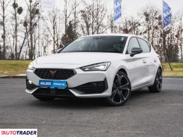 Cupra  - zobacz ofertę