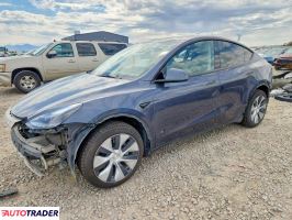 Tesla Model Y - zobacz ofertę