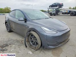 Tesla Model Y 2025