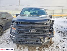 Ford Pozostałe 2024 3