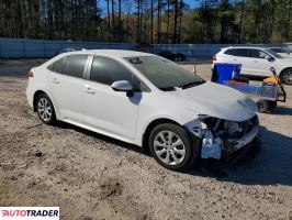 Toyota Corolla 2025 2