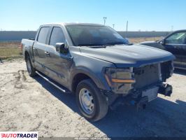 Ford Pozostałe 2024 2