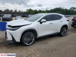 Lexus NX 2022 2 Lexus NX 2022 2