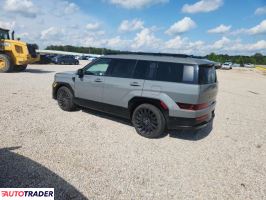 Hyundai Santa Fe 2024 2