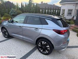 Opel Grandland X 2023 1.5 130 KM