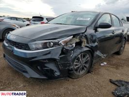 Kia Pozostałe 2024 2