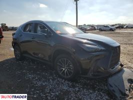 Lexus NX 2024 2