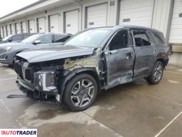 Hyundai Pozostałe 2024 3 Hyundai Pozostałe 2024 3