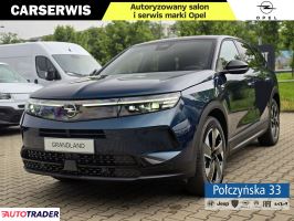 Opel Grandland X - zobacz ofertę