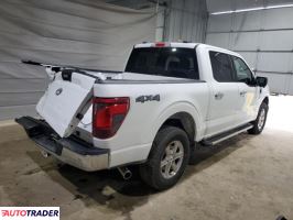 Ford Pozostałe 2024 2
