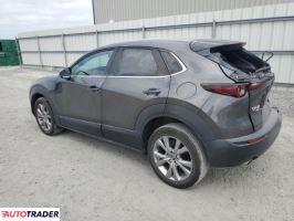 Mazda CX-30 2021 2 Mazda CX-30 2021 2