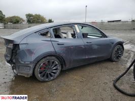 Tesla Model Y 2021 Tesla Model Y 2021