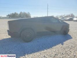 Tesla Pozostałe 2024