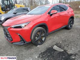 Lexus NX 2024 2