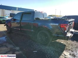 Ford Pozostałe 2024 2