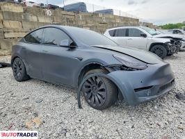 Tesla Model Y 2020