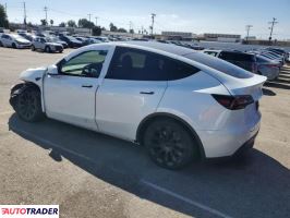 Tesla Model Y 2020