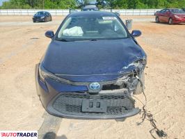 Toyota Corolla 2020 1
