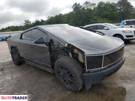 Tesla Pozostałe 2024