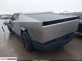 Tesla Pozostałe 2024