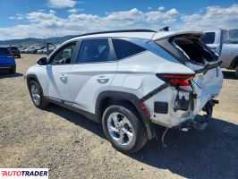 Hyundai Tucson 2024 2