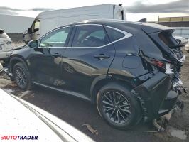 Lexus NX 2025 2