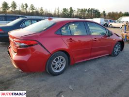 Toyota Corolla 2020 1