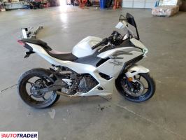 Kawasaki Pozostałe 2025