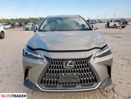 Lexus NX 2023 2