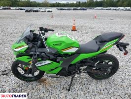 Kawasaki Pozostałe 2025 Kawasaki Pozostałe 2025