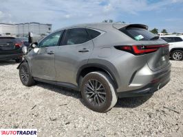 Lexus NX 2022 2