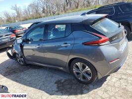 Nissan Leaf 2019