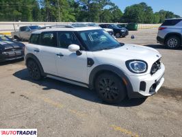 Austin Mini 2024 2