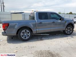 Ford Pozostałe 2024 2