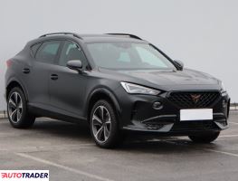 Cupra  - zobacz ofertę