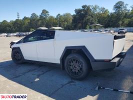 Tesla Pozostałe 2024 Tesla Pozostałe 2024