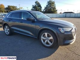 Audi E-tron 2019