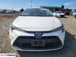 Toyota Corolla 2020 1