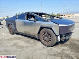 Tesla Pozostałe 2024