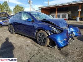 Tesla Model Y 2025