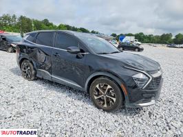 Kia Sportage 2024 2